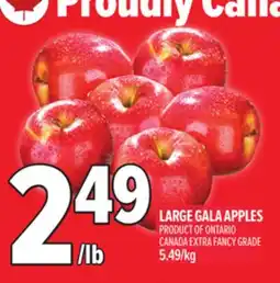 Metro LARGE GALA APPLES offer