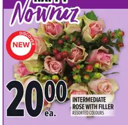 Metro INTERMEDIATE ROSE WITH FILLER offer