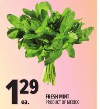 Metro FRESH MINT offer