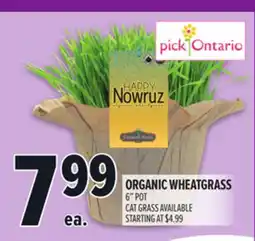 Metro ORGANIC WHEATGRASS offer