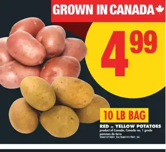 No Frills RED or YELLOW POTATOES, 10 LB BAG offer