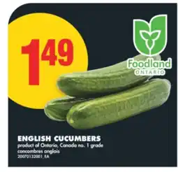 No Frills ENGLISH CUCUMBERS offer