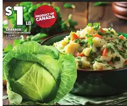 Loblaws CABBAGE offer