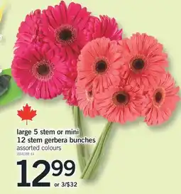 Fortinos LARGE 5 STEM OR MINI 12 STEM GERBERA BUNCHES offer