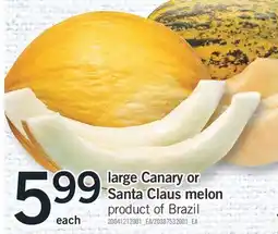 Fortinos LARGE CANARY OR SANTA CLAUS MELON offer