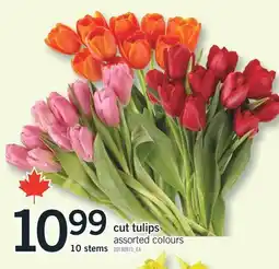 Fortinos 10 stems cut tulips offer