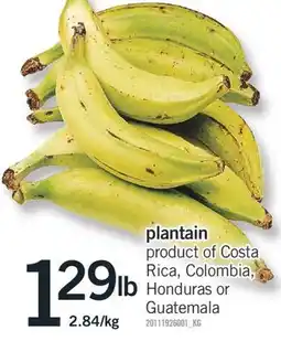 Fortinos PLANTAIN offer