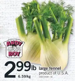 Fortinos LARGE FENNEL offer