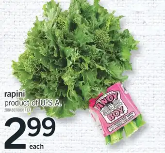 Fortinos RAPINI offer