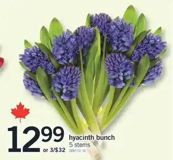 Fortinos HYACINTH BUNCH, 5 stems 5 stems offer