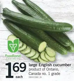 Fortinos LARGE ENGLISH CUCUMBER offer