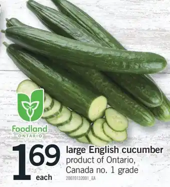 Fortinos LARGE ENGLISH CUCUMBER offer