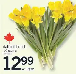 Fortinos DAFFODIL BUNCH, 10 STEMS offer