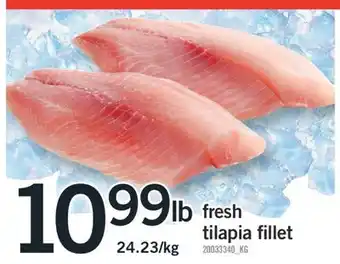 Fortinos FRESH TILAPIA FILLET offer