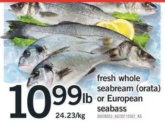 Fortinos fresh whole seabream (orata) or European seabass offer