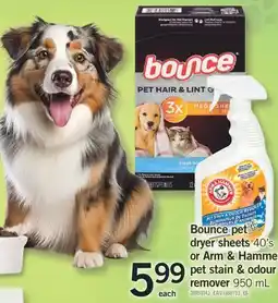 Fortinos BOUNCE PET DRYER SHEETS, 40'S OR ARM & HAMMER PET STAIN & ODOUR REMOVER, 950 ML offer