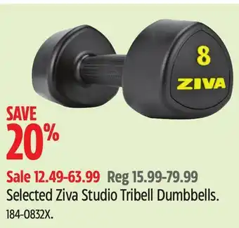 Canadian Tire Ziva Selected Ziva Studio Tribell Dumbbells offer