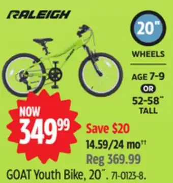 Canadian Tire Raleigh GOAT Youth Bike, 20˝ offer