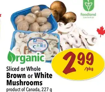 Farm Boy Sliced or Whole Brown or White Mushrooms offer