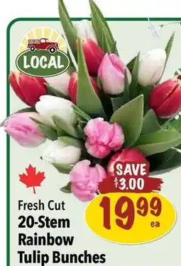 Farm Boy Fresh Cut 20-Stem Rainbow Tulip Bunches offer