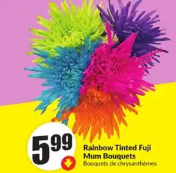 Chalo FreshCo Rainbow Tinted Fuji Mum Bouquets offer