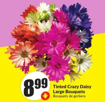 Chalo FreshCo Tinted Crazy Daisy Large Bouquets offer