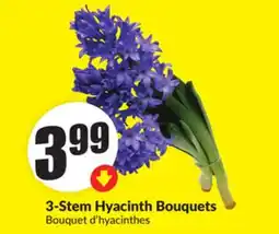 Chalo FreshCo 3-Stem Hyacinth Bouquets offer