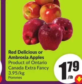 Chalo FreshCo Red Delicious or Ambrosia Apples Product of Ontario Canada Extra Fancy 3.95/kg offer