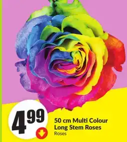 Chalo FreshCo 50 cm Multi Colour Long Stem Roses offer