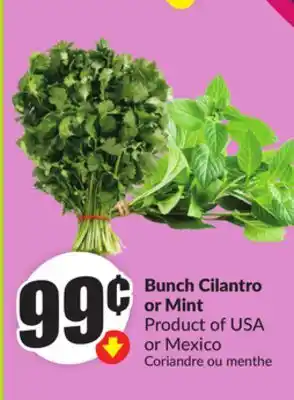 FreshCo Bunch Cilantro or Mint Product of USA or Mexico offer