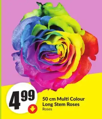 FreshCo 50cm Multi Colour Long Stem Roses offer