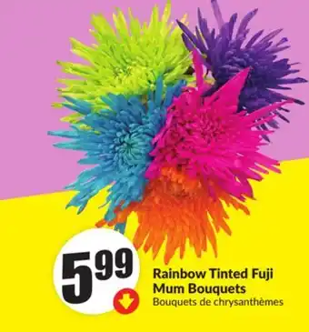 FreshCo Rainbow Tinted Fuji Mum Bouquets offer