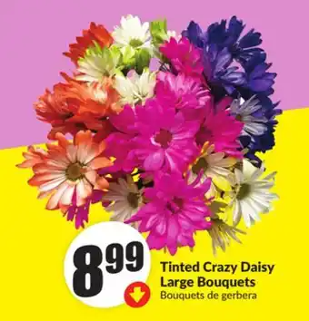 FreshCo Tinted Crazy Daisy Large Bouquets offer