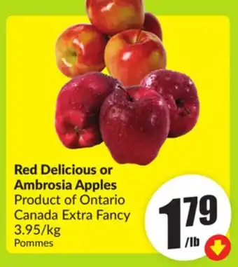 FreshCo Reg Delicious or Ambrosia Apples Product of Ontario Canada Extra Fancy offer