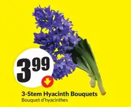 FreshCo 3-Steam Hyacinth Bouquets offer