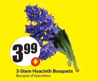 FreshCo 3-Steam Hyacinth Bouquets offer