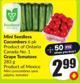 FreshCo Mini Seedless Cucumbers 6 pk Product of Ontario Canada No. 1 Grape tomatoes 283 g Product of Mexico offer