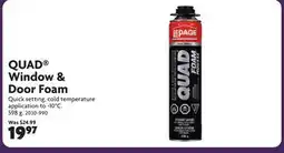 Home Hardware QUAD Window & Door Foam offer