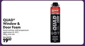 Home Hardware Window & Door Foam offer