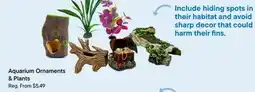 Petvalu Aquarium Ornaments & Plants offer