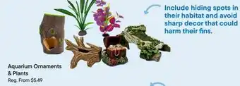 Petvalu Aquarium Ornaments & Plants offer