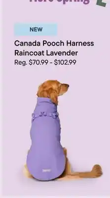 Petvalu Canada Pooch Harness Raincoat Lavender offer