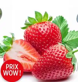 Avril fraises bios offer