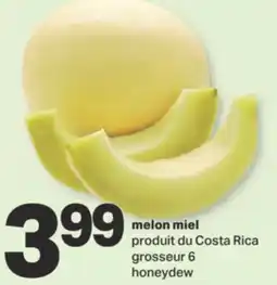 L'Intermarché MELON MIEL, grosseur 6 offer