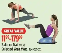 Canadian Tire Balance Trainer or Selected Yoga Mats offer