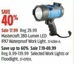 Canadian Tire Mastercraft 280-lumen led IPX7 waterproof work light offer