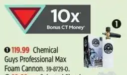 Canadian Tire Chemical Guys Professional Max Foam Cannon offer