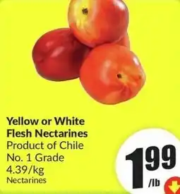 FreshCo Yellow or White Flesh Nectarines offer