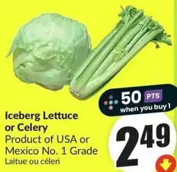 FreshCo Iceberg Lettuce or Celery offer