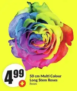 FreshCo 50 cm Multi Colour Long Stem Roses offer